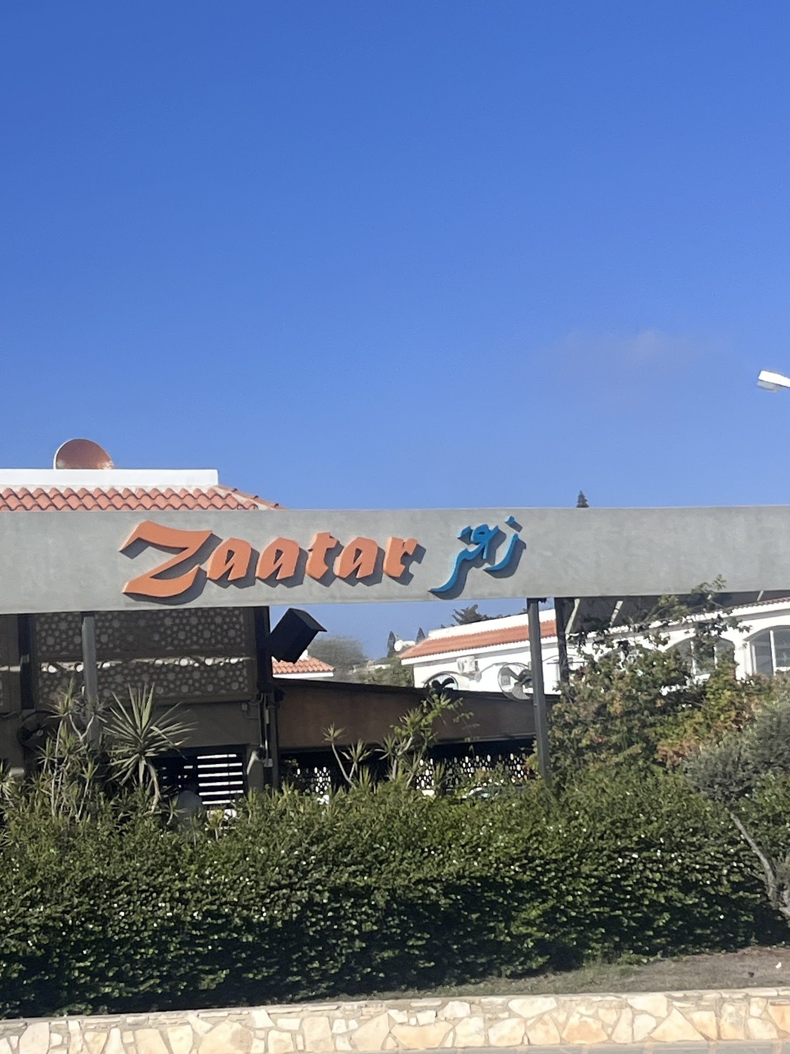 ZAATAR food arts: Lebanese Syrian Cuisine حلال‎ زعتر