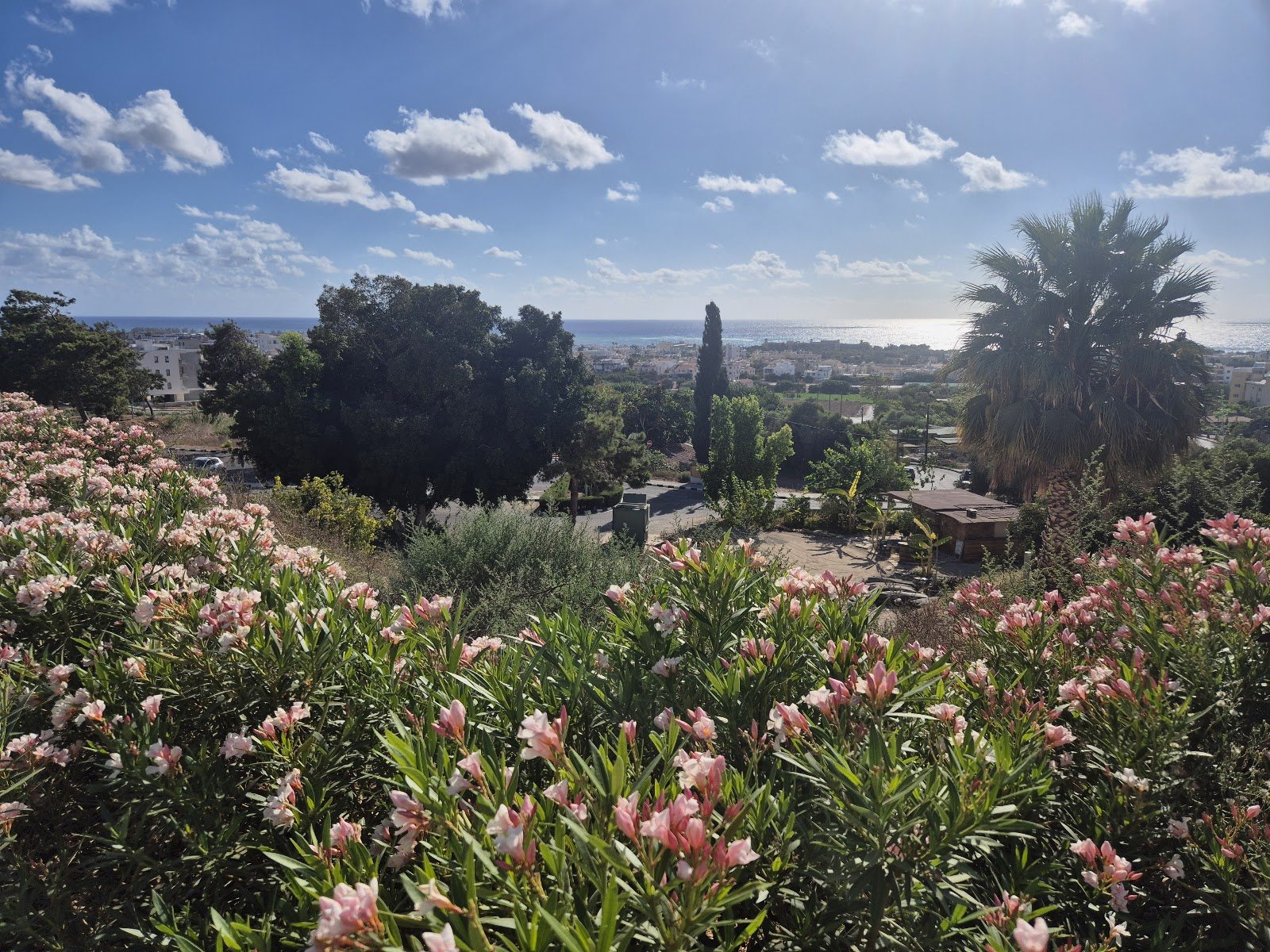 Paphos Overlook
