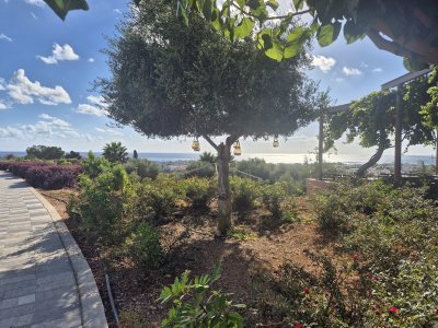 Paphos Overlook